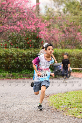 2026左岸竹東櫻花馬拉松Zhudong Sakura Marathon