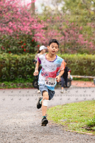 2026左岸竹東櫻花馬拉松Zhudong Sakura Marathon