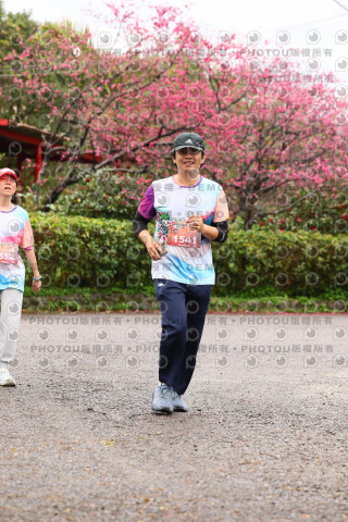 2026左岸竹東櫻花馬拉松Zhudong Sakura Marathon