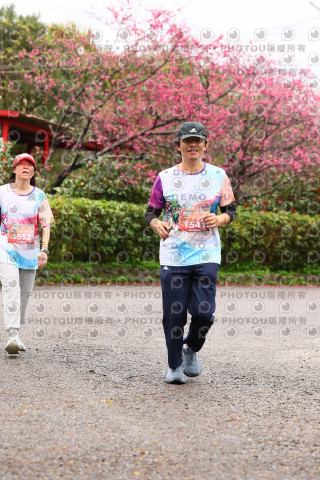2026左岸竹東櫻花馬拉松Zhudong Sakura Marathon