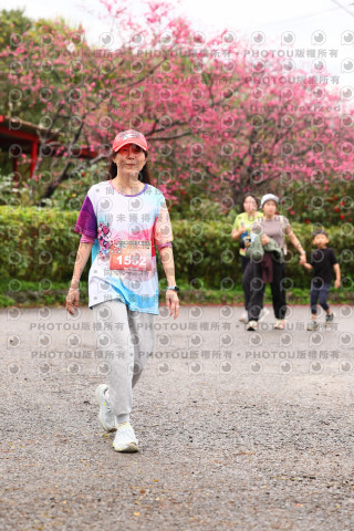 2026左岸竹東櫻花馬拉松Zhudong Sakura Marathon