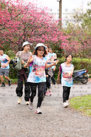 2026左岸竹東櫻花馬拉松Zhudong Sakura Marathon