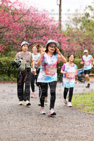 2026左岸竹東櫻花馬拉松Zhudong Sakura Marathon