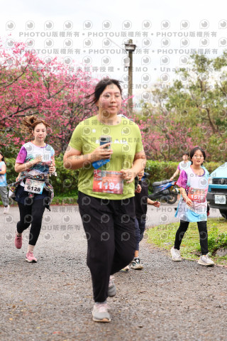 2026左岸竹東櫻花馬拉松Zhudong Sakura Marathon