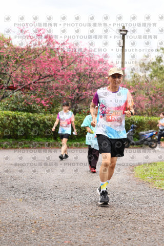 2026左岸竹東櫻花馬拉松Zhudong Sakura Marathon
