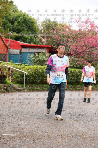 2026左岸竹東櫻花馬拉松Zhudong Sakura Marathon