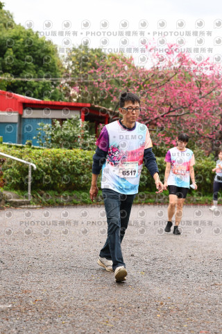 2026左岸竹東櫻花馬拉松Zhudong Sakura Marathon