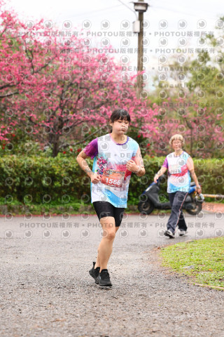 2026左岸竹東櫻花馬拉松Zhudong Sakura Marathon