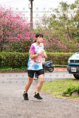2026左岸竹東櫻花馬拉松Zhudong Sakura Marathon