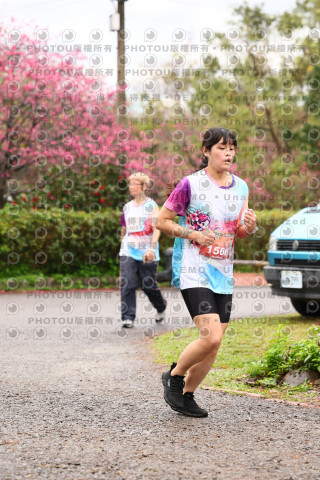 2026左岸竹東櫻花馬拉松Zhudong Sakura Marathon