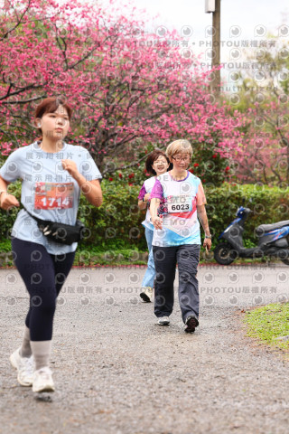 2026左岸竹東櫻花馬拉松Zhudong Sakura Marathon