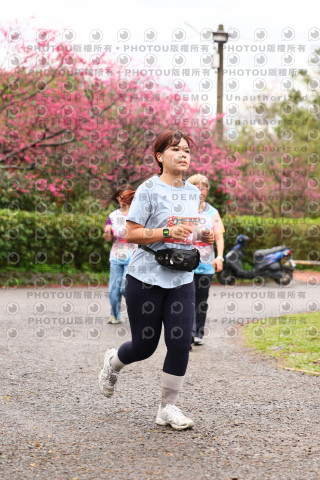 2026左岸竹東櫻花馬拉松Zhudong Sakura Marathon