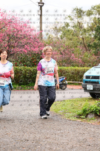 2026左岸竹東櫻花馬拉松Zhudong Sakura Marathon