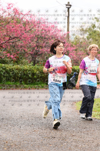 2026左岸竹東櫻花馬拉松Zhudong Sakura Marathon