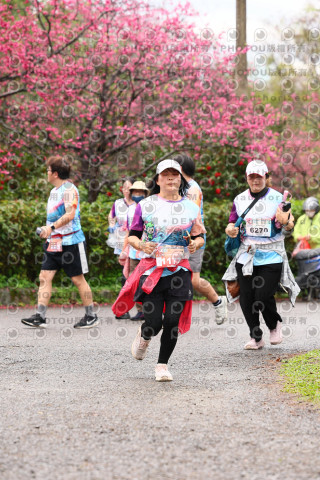 2026左岸竹東櫻花馬拉松Zhudong Sakura Marathon