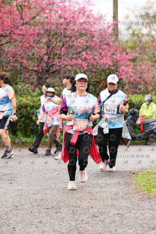 2026左岸竹東櫻花馬拉松Zhudong Sakura Marathon