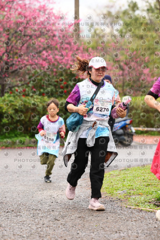 2026左岸竹東櫻花馬拉松Zhudong Sakura Marathon