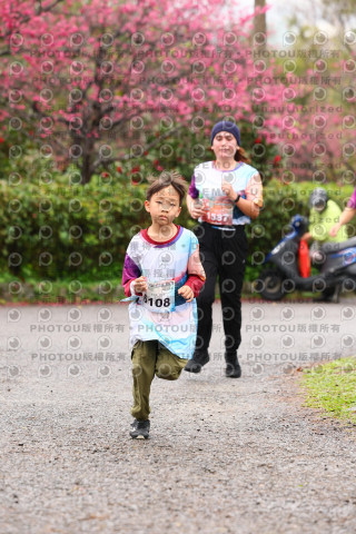 2026左岸竹東櫻花馬拉松Zhudong Sakura Marathon