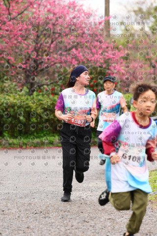 2026左岸竹東櫻花馬拉松Zhudong Sakura Marathon