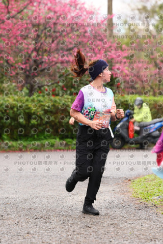 2026左岸竹東櫻花馬拉松Zhudong Sakura Marathon