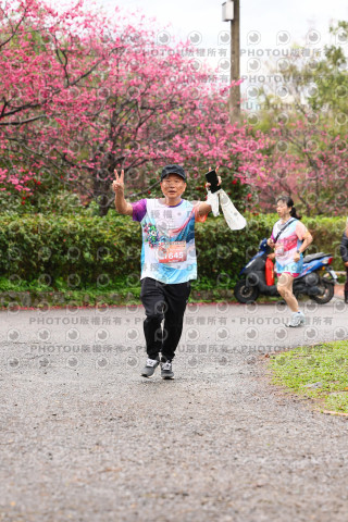 2026左岸竹東櫻花馬拉松Zhudong Sakura Marathon