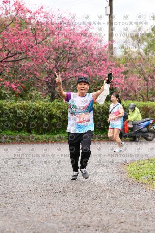 2026左岸竹東櫻花馬拉松Zhudong Sakura Marathon