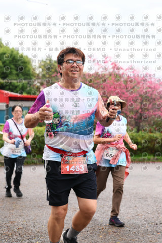 2026左岸竹東櫻花馬拉松Zhudong Sakura Marathon