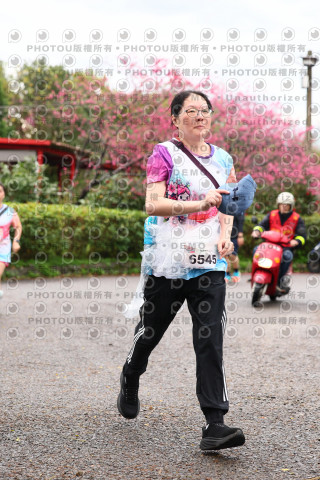 2026左岸竹東櫻花馬拉松Zhudong Sakura Marathon