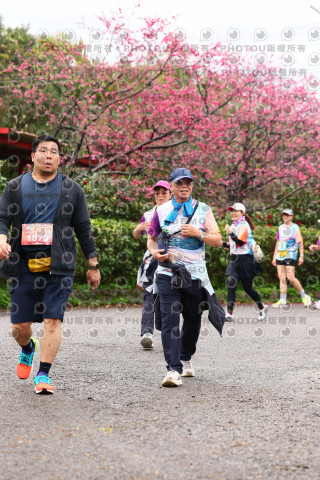2026左岸竹東櫻花馬拉松Zhudong Sakura Marathon