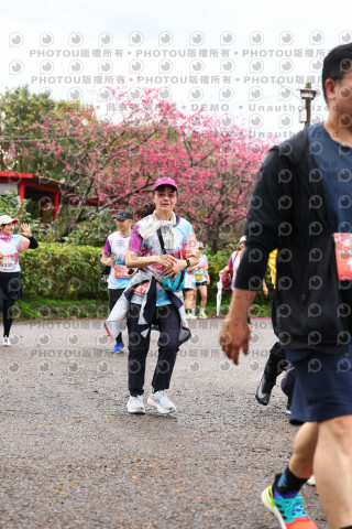 2026左岸竹東櫻花馬拉松Zhudong Sakura Marathon
