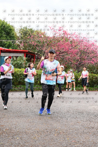 2026左岸竹東櫻花馬拉松Zhudong Sakura Marathon