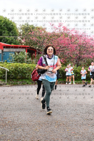 2026左岸竹東櫻花馬拉松Zhudong Sakura Marathon