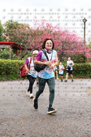 2026左岸竹東櫻花馬拉松Zhudong Sakura Marathon