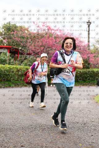 2026左岸竹東櫻花馬拉松Zhudong Sakura Marathon