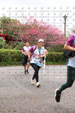 2026左岸竹東櫻花馬拉松Zhudong Sakura Marathon