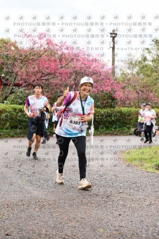 2026左岸竹東櫻花馬拉松Zhudong Sakura Marathon
