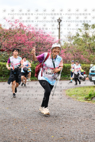 2026左岸竹東櫻花馬拉松Zhudong Sakura Marathon