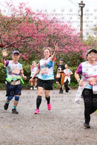 2026左岸竹東櫻花馬拉松Zhudong Sakura Marathon
