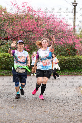 2026左岸竹東櫻花馬拉松Zhudong Sakura Marathon