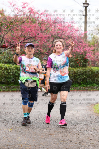 2026左岸竹東櫻花馬拉松Zhudong Sakura Marathon