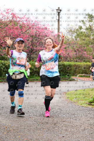 2026左岸竹東櫻花馬拉松Zhudong Sakura Marathon