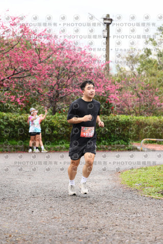 2026左岸竹東櫻花馬拉松Zhudong Sakura Marathon