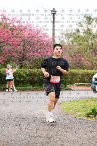 2026左岸竹東櫻花馬拉松Zhudong Sakura Marathon