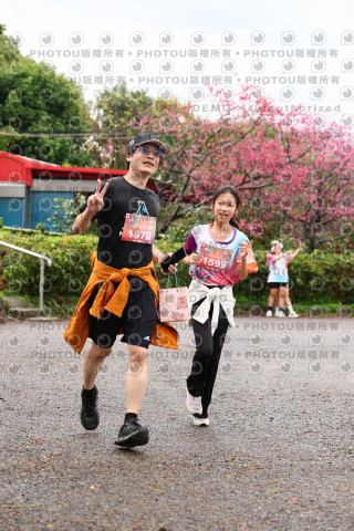 2026左岸竹東櫻花馬拉松Zhudong Sakura Marathon