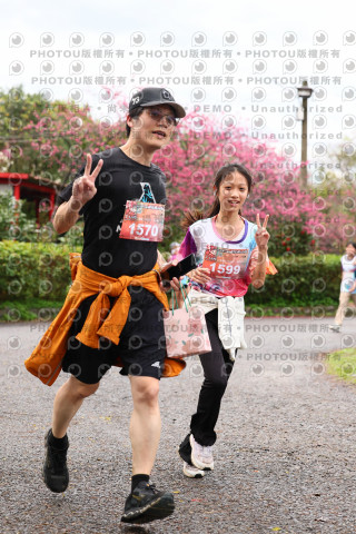 2026左岸竹東櫻花馬拉松Zhudong Sakura Marathon