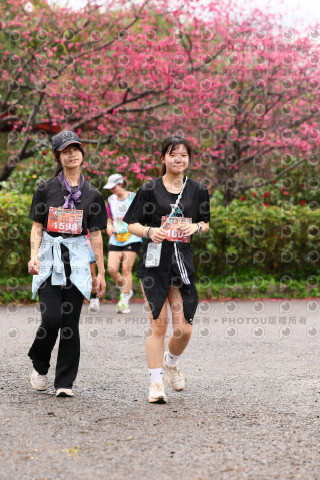 2026左岸竹東櫻花馬拉松Zhudong Sakura Marathon