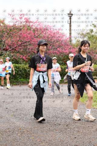 2026左岸竹東櫻花馬拉松Zhudong Sakura Marathon