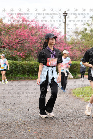 2026左岸竹東櫻花馬拉松Zhudong Sakura Marathon