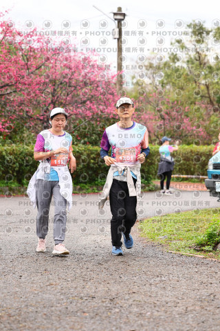 2026左岸竹東櫻花馬拉松Zhudong Sakura Marathon