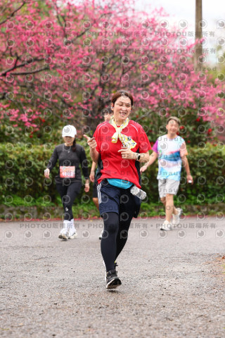 2026左岸竹東櫻花馬拉松Zhudong Sakura Marathon